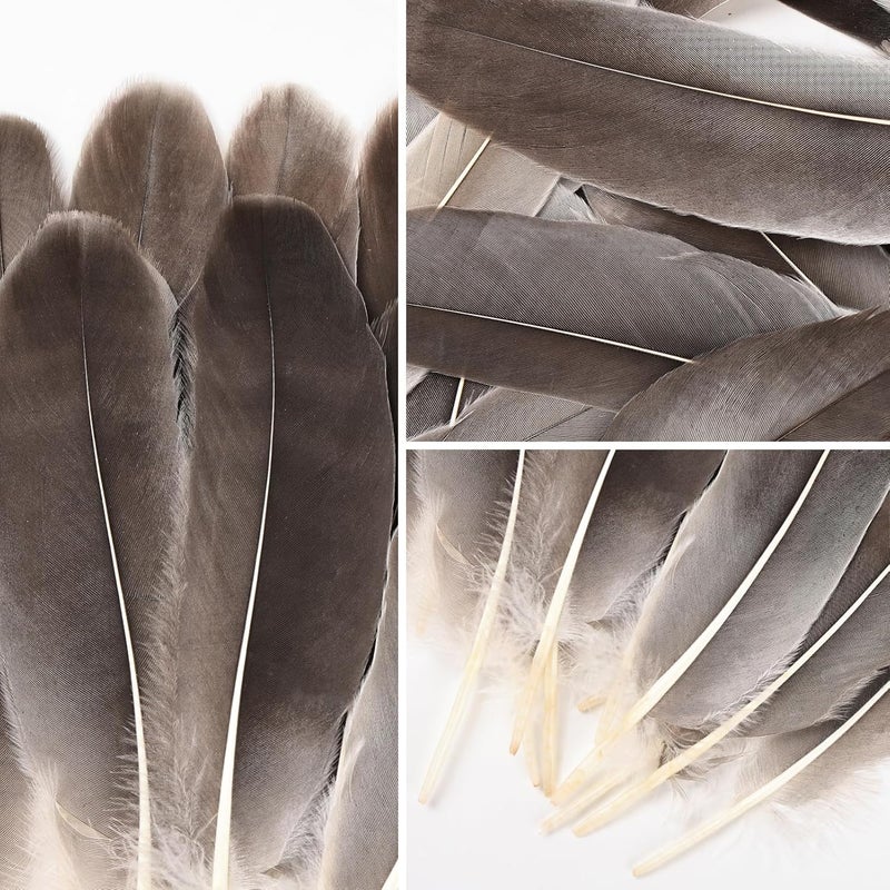 MAOFENG 150pcs 5-7 Inches Natural Goose Feathers Bulk DIY Crafts Feathers for Wedding Party Halloween Clothing Accessories,Natural Gray - Image 3